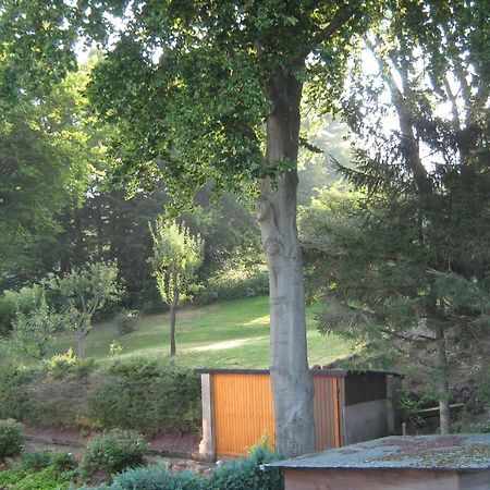 Ferienwohnung Sauerland Panorama Korbach Extérieur photo