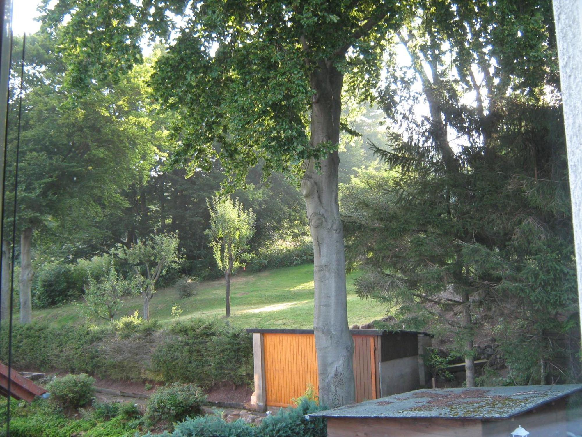 Ferienwohnung Sauerland Panorama Korbach Extérieur photo